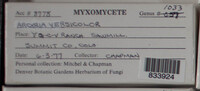 Image Associated With the Occurence